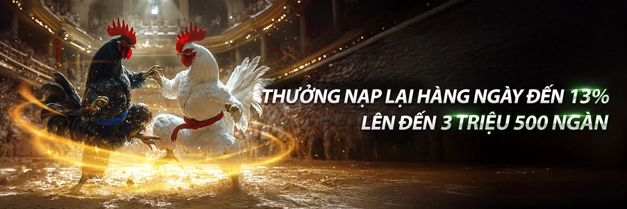 Trận đá gà trực tiếp 388 căng thẳng tại sàn đấu